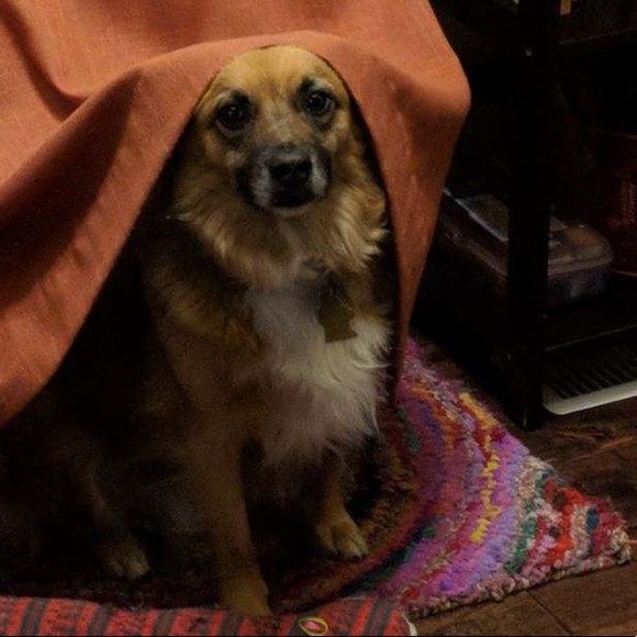 Meet your Posher, Julianne - Picture 1 of 1